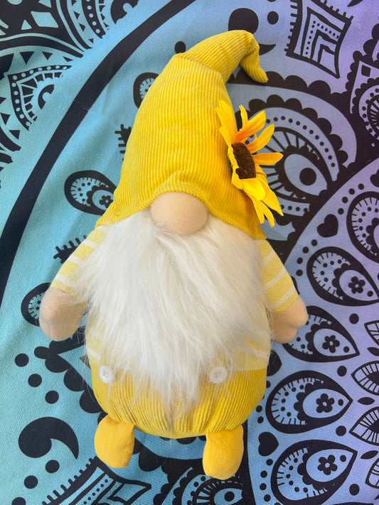 Sunny the Gnome