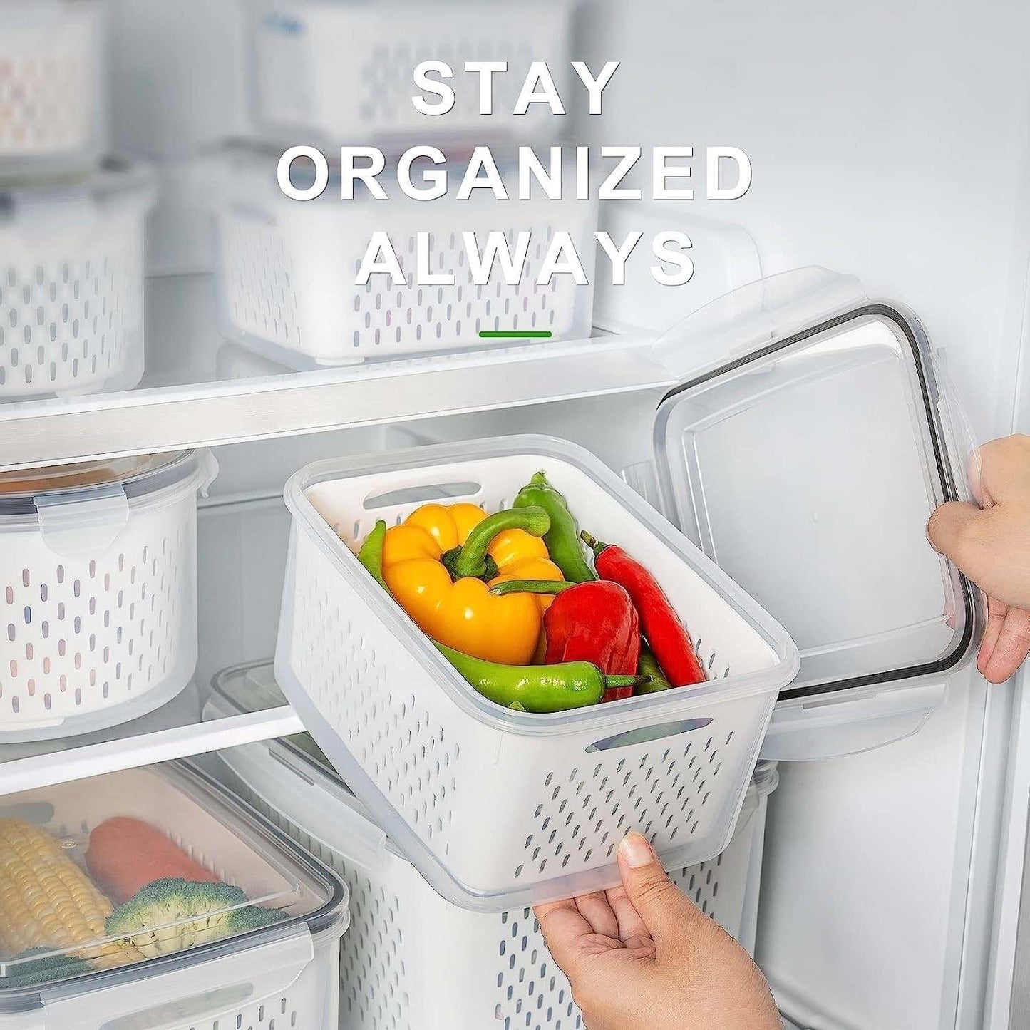 4 Piece Fruit Storage Containers