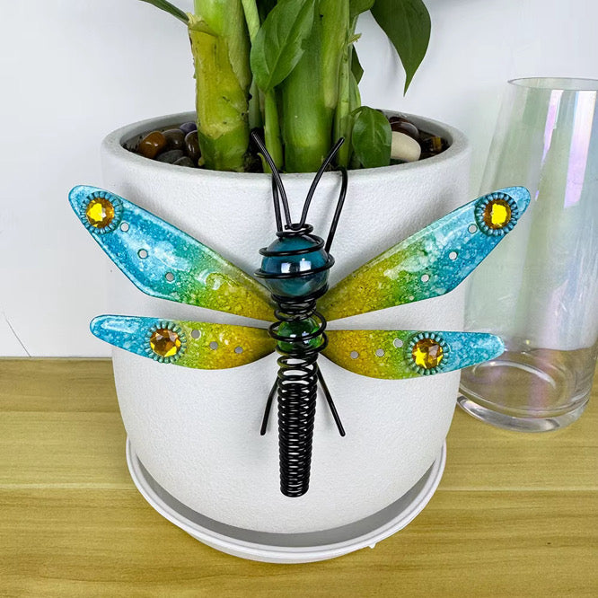 Hang With the Dragonflies