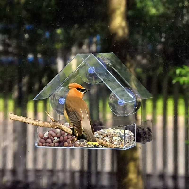 The Clear View Bird Feeder