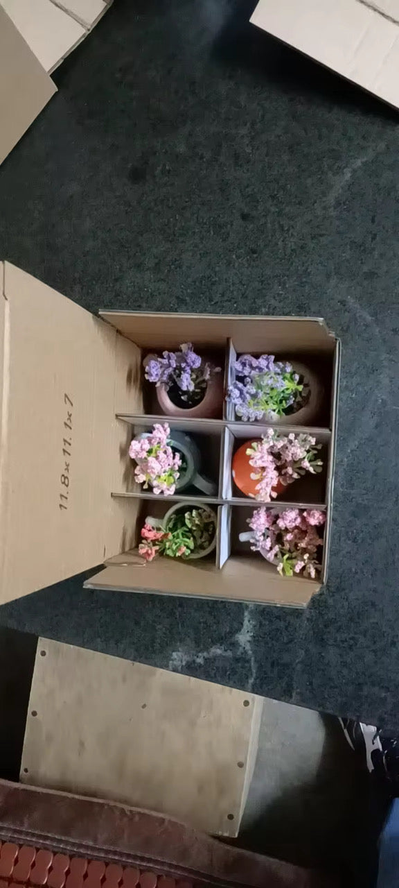 6 Piece Plant Magnet Set