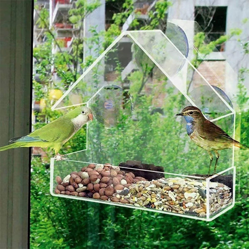 The Clear View Bird Feeder