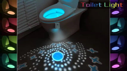 Toilet Light