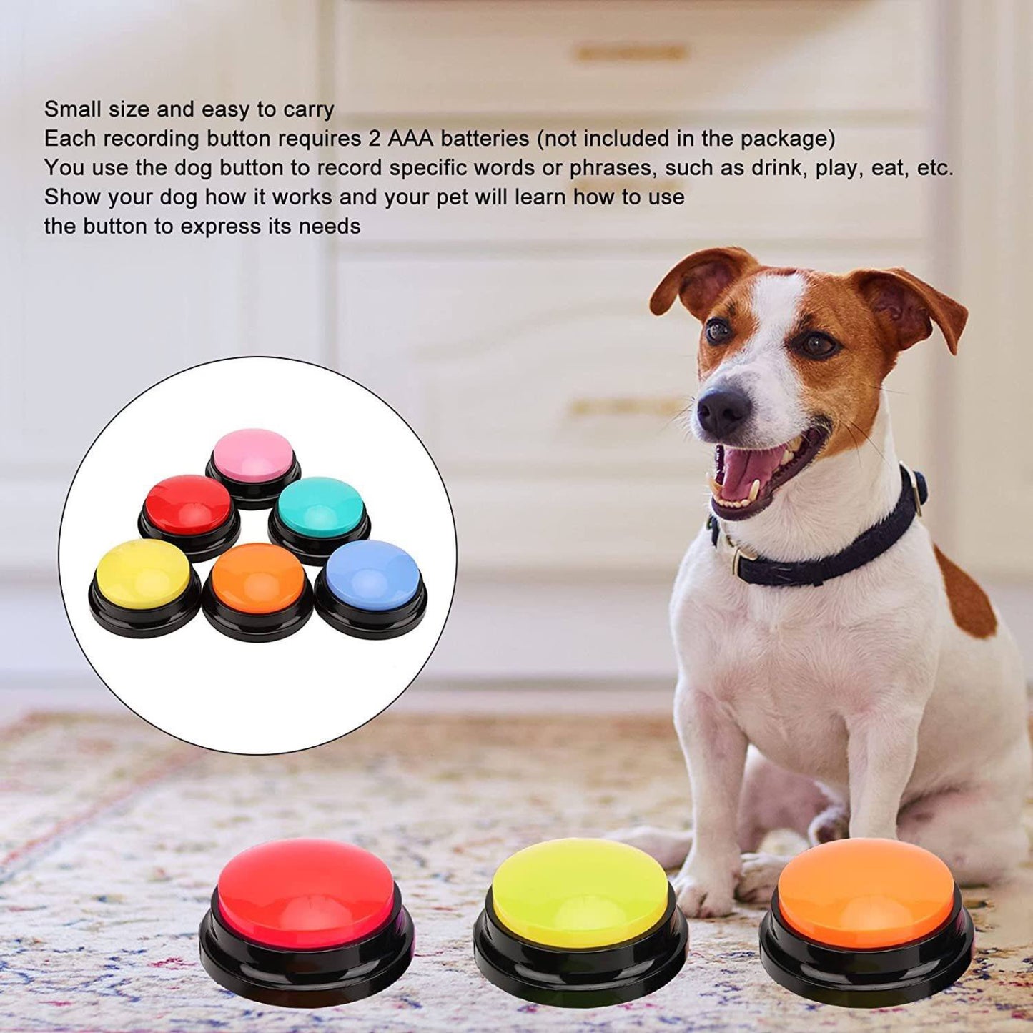 Dog Recording Button A