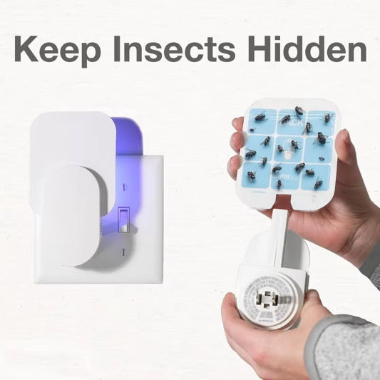 Indoor Adhesive Fly Trap