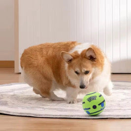 Interactive Dog Ball