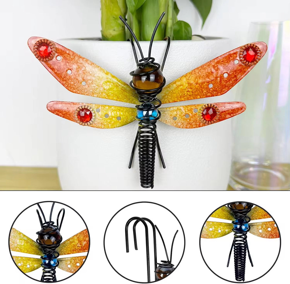 Hang With the Dragonflies