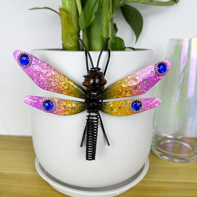 Hang With the Dragonflies