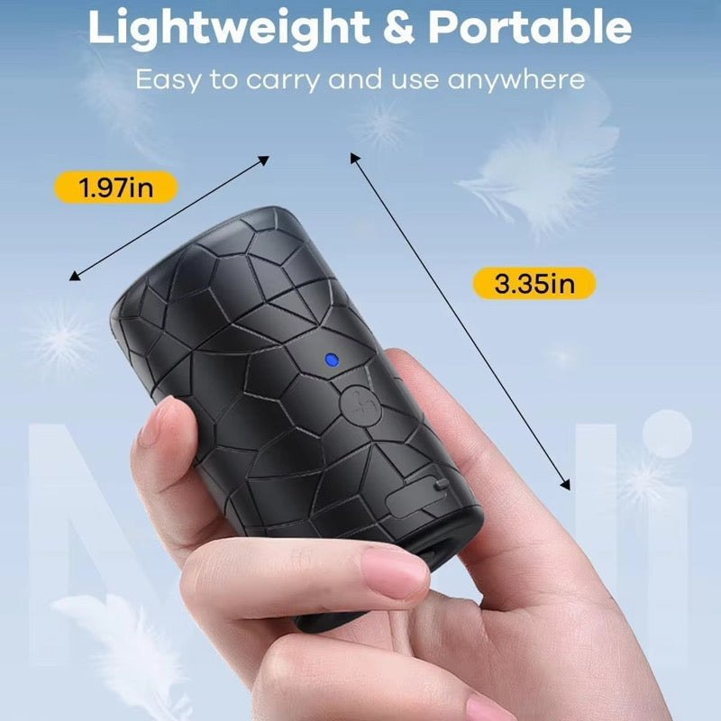 Portable Electric Pump