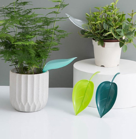 Leafy Funnels