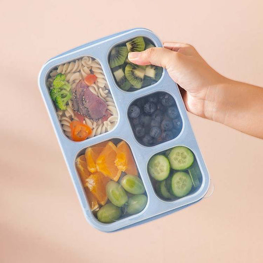 4 Piece Compartment Meal Snack Containers