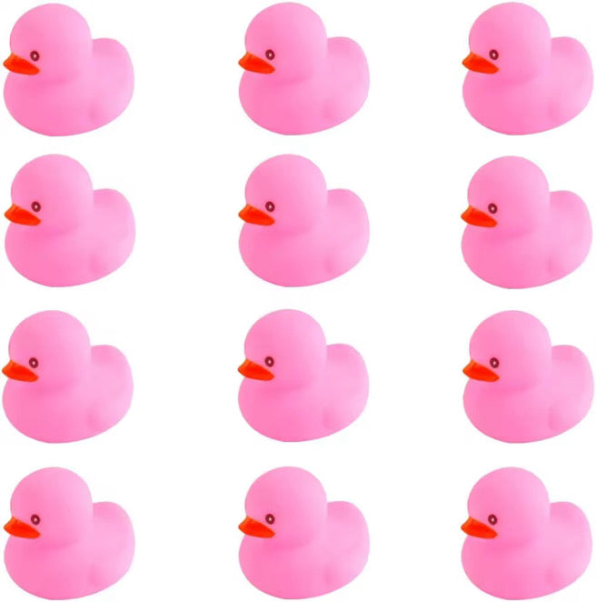 12 Piece Pink Rubber Duck Set