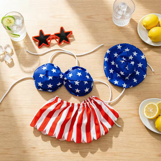 USA Porch Goose Outfit