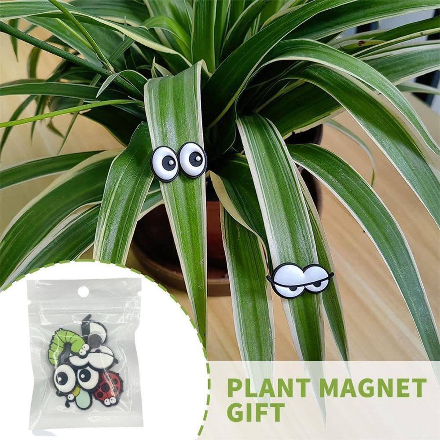 Fun Plant Magnets