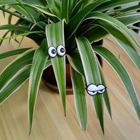 Fun Plant Magnets