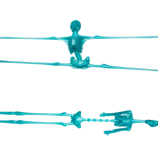 10 Piece Skeleton Squish Set