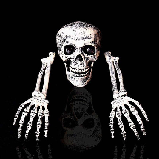 Skeleton yard Decor
