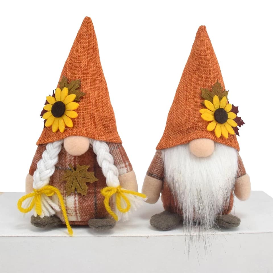 Fall Gnomes